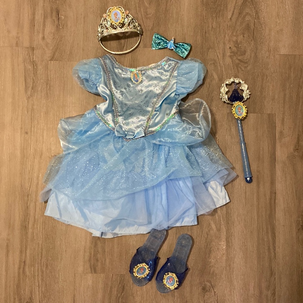 Cinderella Disney princess outfit